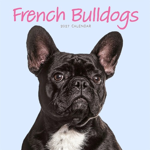 French bulldogs mini calendar - bulldogs,
