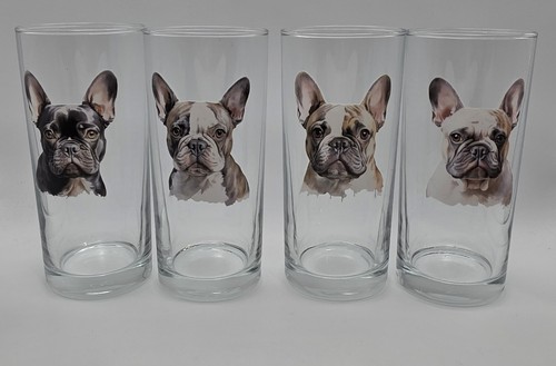 French bulldog dog breed - bulldog,