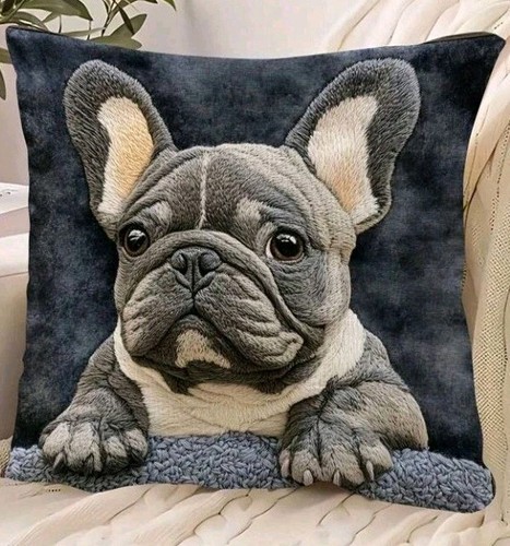 Beautiful french bulldog - beautiful,