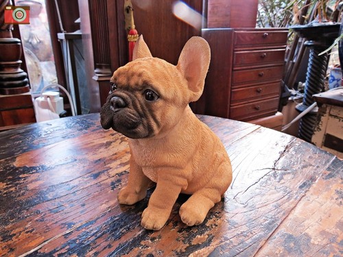 Sitting french bulldog - sitting,