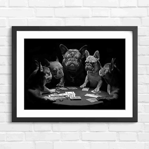 Cute french bulldogs - cute,