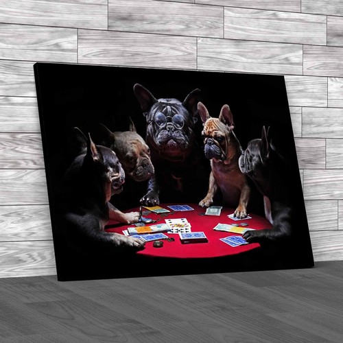 French bulldogs playing cards - bulldogs,