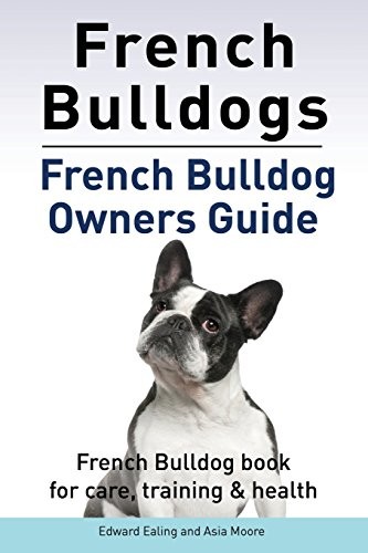 French bulldogs - french,