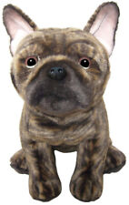Brindle French Bulldog teddy