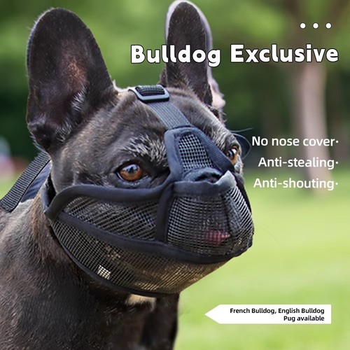 Dog muzzle for short - muzzle, short-snouted