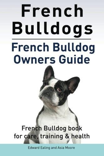 French bulldogs - french, bulldogs.
