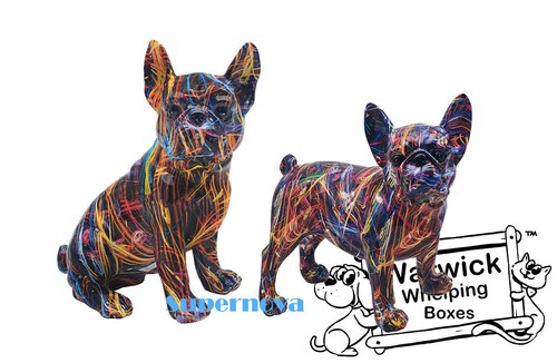 French bulldog dog - french,
