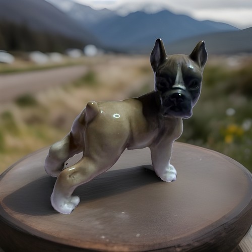 French bulldog dog - bulldog,