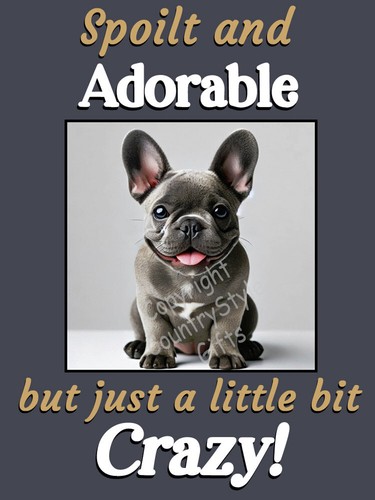 French bulldog frenchie funny - french,